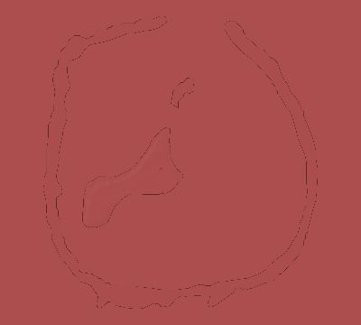Map of the weather observed across Pitcairn Islands during the solar eclipse of 07/02/2019