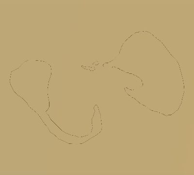 Map of the average cloud coverage across Cook Islands for the solar eclipse of 05/30/1965