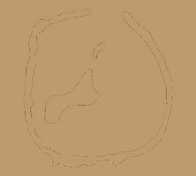 Map of the average cloud coverage across Pitcairn Islands for the solar eclipse of 07/02/2019