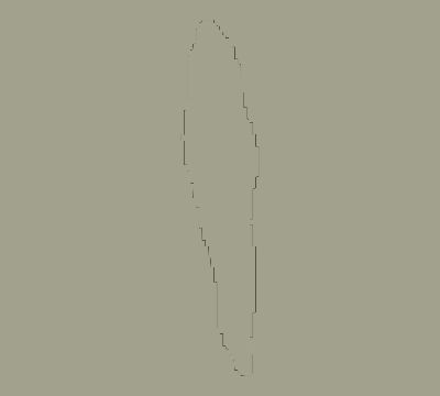 Map of the average cloud coverage across Seychelles for the solar eclipse of 07/14/2140