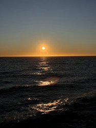 Photo of the solar eclipse of 09/21/2025 by Lori Saenz