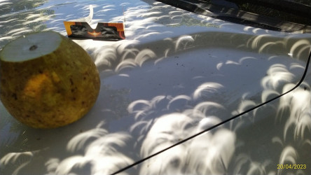 Photo of the solar eclipse of 04/20/2023 by Katharina Nottbohm