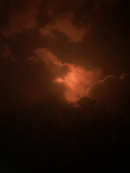 Photo of the solar eclipse of 10/14/2023 by Stacey Piotrowski