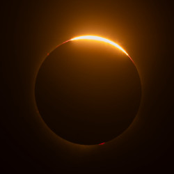 Photo of the solar eclipse of 08/12/2026 by Fathi Mayoof