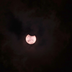 Photo of the solar eclipse of 06/10/2021 by Klaus Schulze-Frerichs