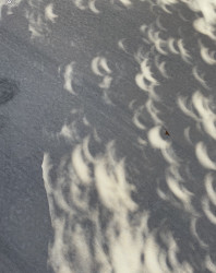Photo of the solar eclipse of 10/14/2023 by Abbey Shoemaker