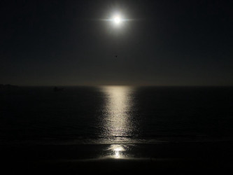 Photo of the solar eclipse of 07/02/2019 by Marcio Spinola