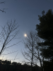 Photo of the solar eclipse of 04/08/2024 by Raphael Richter