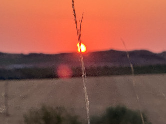 Photo of the solar eclipse of 08/12/2026 by Melanie Hodge
