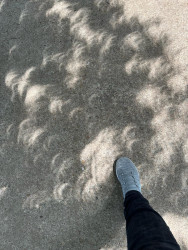 Photo of the solar eclipse of 04/08/2024 by Alissa Ha