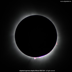 Photo of the solar eclipse of 04/08/2024 by Stephan Heinsius
