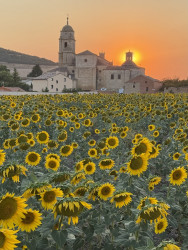 Photo of the solar eclipse of 08/12/2026 by Marcio Spinola