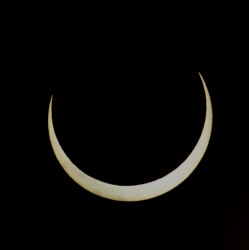 Photo of the solar eclipse of 10/14/2023 by Tim Martin