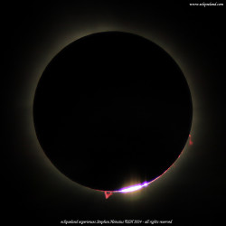 Photo of the solar eclipse of 04/08/2024 by Stephan Heinsius