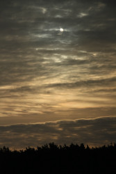 Photo of the solar eclipse of 01/04/2011 by Stefan Simon