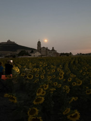 Photo of the solar eclipse of 08/12/2026 by Marcio Spinola