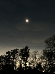 Photo of the solar eclipse of 04/08/2024 by Rafael Belokurows