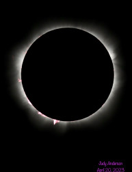 Photo of the solar eclipse of 04/20/2023 by Judy Anderson