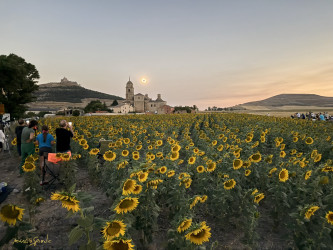 Photo of the solar eclipse of 08/12/2026 by Marcio Spinola